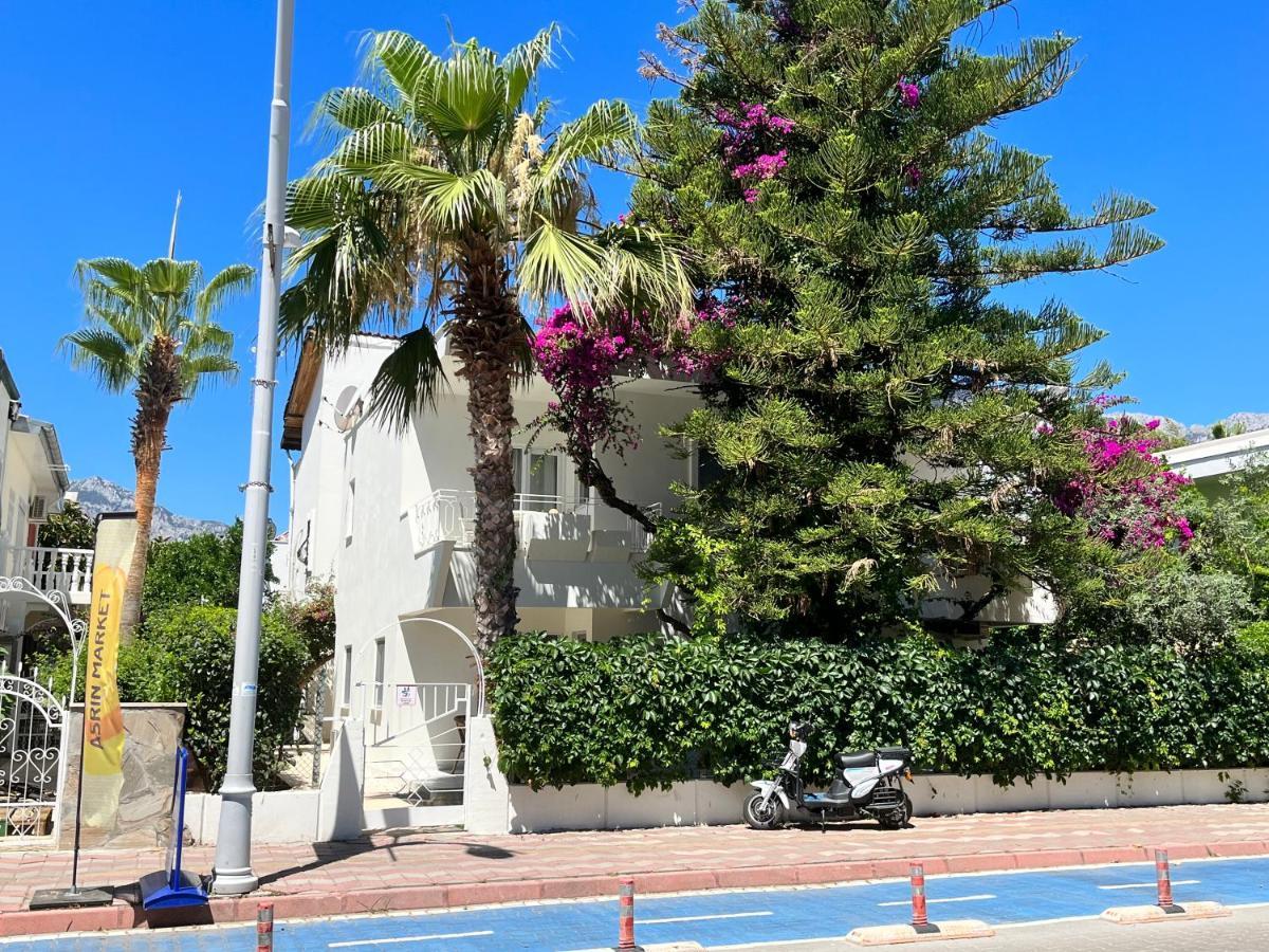 Apartamento Lotus